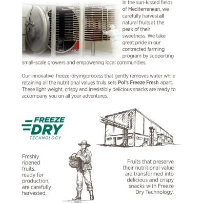 مزيج التوت المجفف بالتجميد من بولز فريز فريش